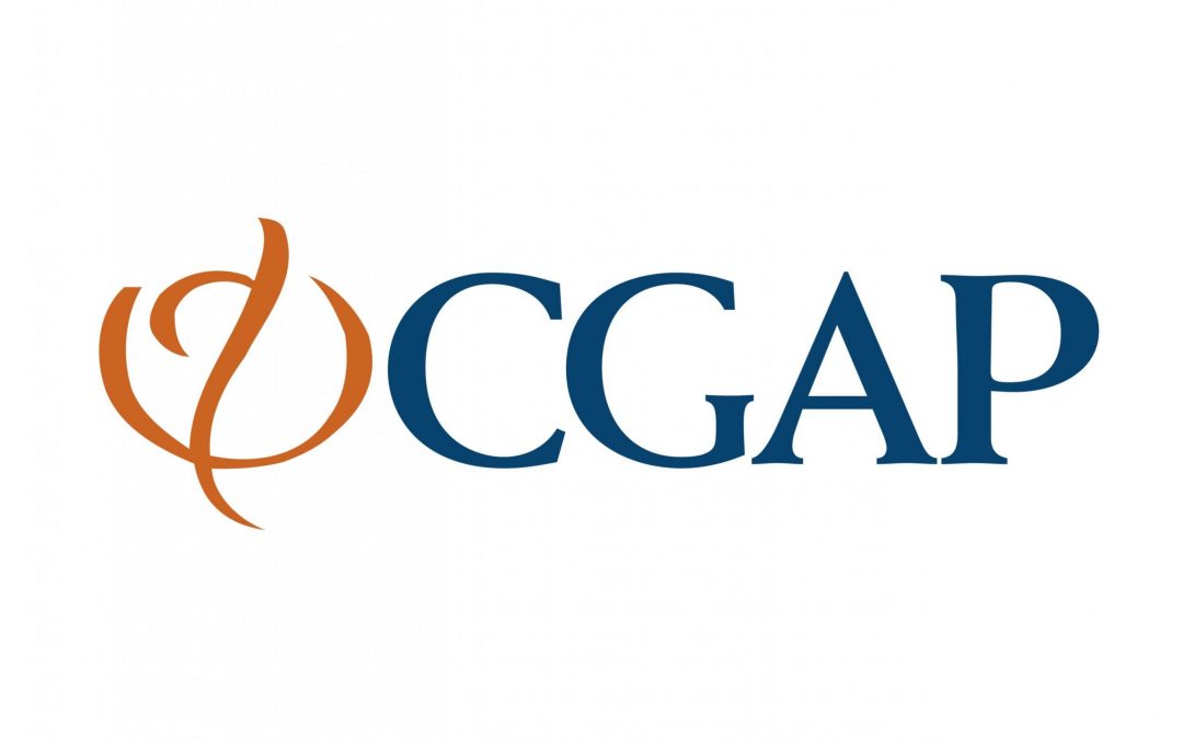CGAP destaca los servicios de Nano-Crédito de Tiaxa