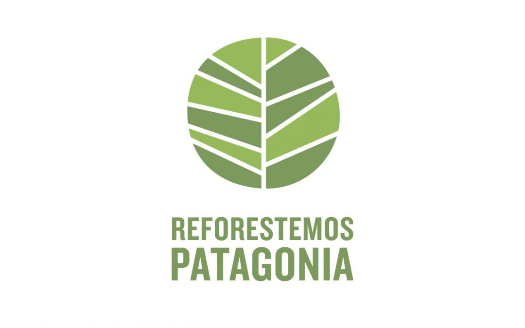 Tiaxa compensa su huella de Carbono del año 2016